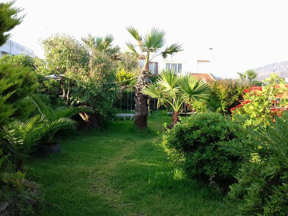 Georgia Seaside Villa Hersonissos  Exteriör bild